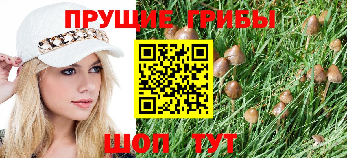 Псилоцибиновые грибы MAGIC MUSHROOMS  Вход с VPN  Урюпинск  Псилоцибиновые грибы Psilocybe 